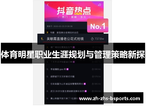 体育明星职业生涯规划与管理策略新探